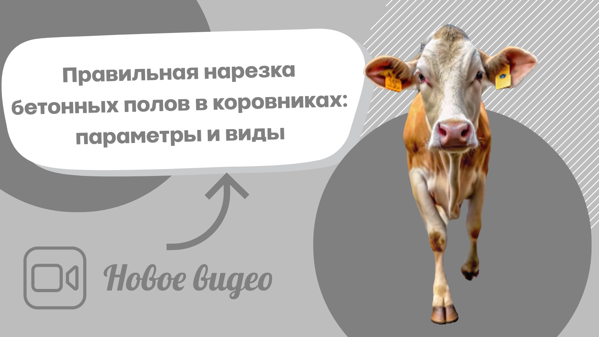 6a7b8ff0-07da-40e3-9f38-35169963cea1-5_виды нарезки.png